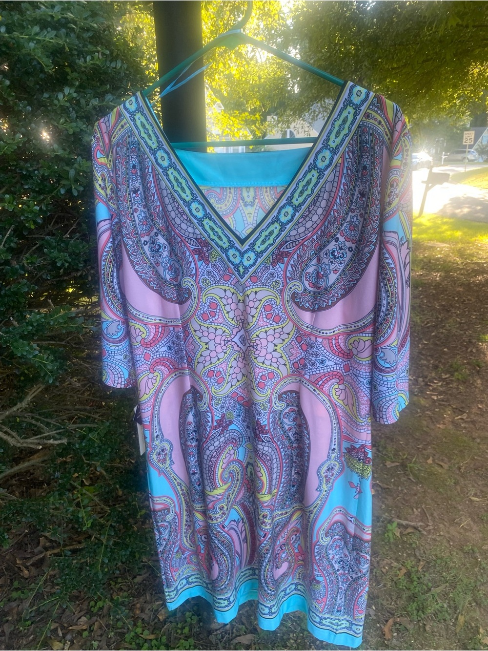 NWT Sandra Darren Paisley dress in Aqua, Pink, and Purple